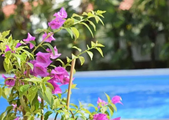 In With Balcony, Wifi 819-4 Poreč