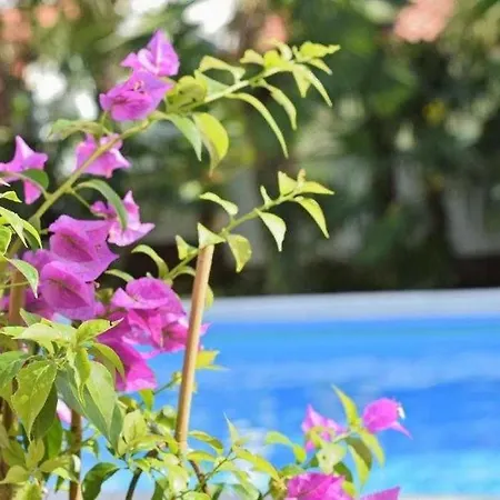 In With Balcony, Wifi 819-4 Poreč